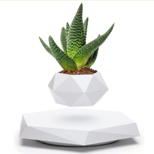 banddlevs magnetic levitating planter (white)